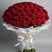 Букет 101 Красная роза Блэк Мэджик в Бузулуке