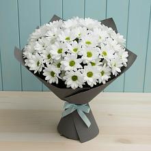 Букет цветов из:  Хризантемы #REPLACE_PRED# Бузулуке