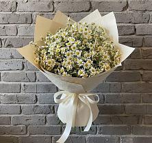Букет цветов из:  Ромашки в Бузулуке