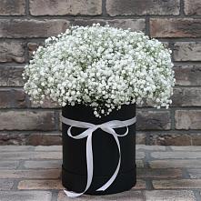 Цветочная композиция из Гипсофила в шляпной коробке в Бузулуке