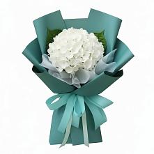 Букет цветов из:  Гортензия #REPLACE_PRED# Бузулуке